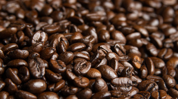 A kávé az egyik leginkább környezetszennyező élelmiszer