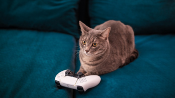 PS5 DualSense extrák kerülhetnek az új Xbox-kontrollerbe?