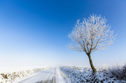 Téli mesevilág Zala megyében: csodálatos képeket készített a magyar fotós
