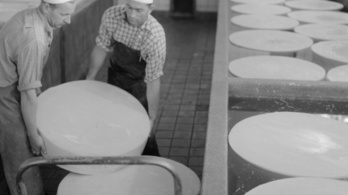 Bezár a hetvenéves zalaegerszegi sajtgyár