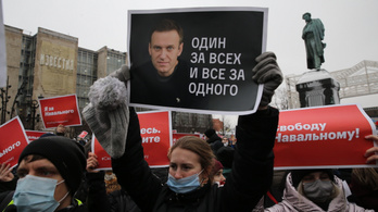 Nem megy sehova, Navalnij fogságban marad