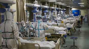 Újabb vuhani kórházban vizsgálódott a WHO a járvány eredetét kutatva