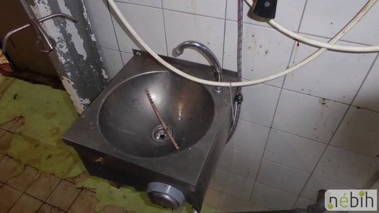 Videó: horrorvágóhidat zárt be Fejér megyében a Nébih