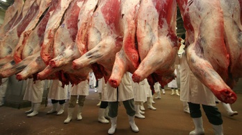 ENSZ: járványvédelmi hatása is van a húsfogyasztás visszafogásának