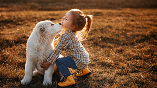 Ezért szeretik annyira a gyerekek az állatokat: sokuknak fontosabbak, mint az emberek