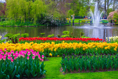 Képeken a világ 8 legszebb virágoskertje: pompázatos színekben és formákban tobzódnak