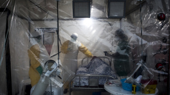 Újra felbukkant az ebola Guineában