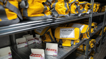 A háziorvosoknak kell hűtőtáskát és jégakkut vinni a koronavírus elleni vakcina szállításához