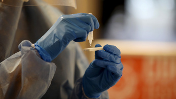 Tizenhárom közel-keleti országban azonosítottak új vírusvariánst