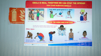 Nagy az ebolajárvány veszélye Nyugat-Afrikában
