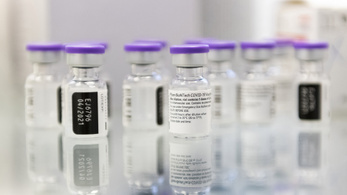 Erős immunválaszt vált ki a Pfizer-vakcina az oltottaknál