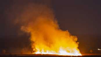 Hatalmas lángokkal égett a balatoni nádas, nyolc város tűzoltóit riasztották