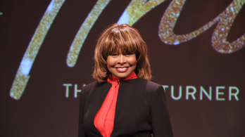 Tina Turner hozzájárult, hogy bemutassák, így még soha nem láthattuk