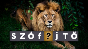 Miért pont oroszlánrészt vállalunk valamiben? Van köze a szólásnak az állathoz?