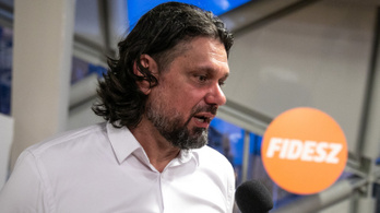 Deutsch Tamás: A Fidesz kimondta a királyról, hogy meztelen