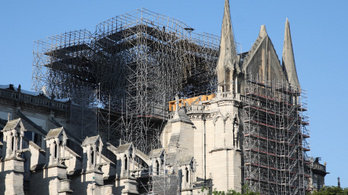 Megvan az első nyolc fa a Notre-Dame felújításához