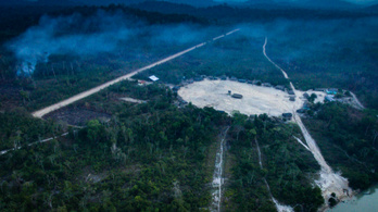 Elpusztult az esőerdők kétharmada