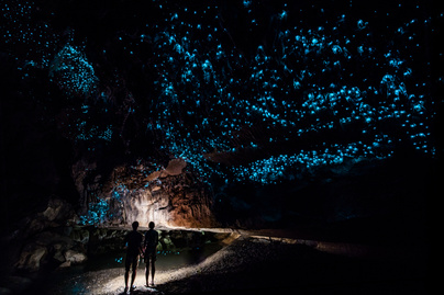 Ezek a férgek okozzák a lenyűgöző szépségű illúziót: csillagos égboltot varázsolnak az új-zélandi barlangba