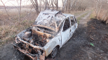 Kis híján leégett az erdő Tökölnél egy kigyulladt autó miatt