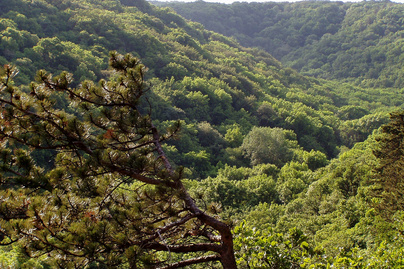 8 csodálatos, érintetlen völgy Magyarországon: álomszép vidékeken vezet végig az út