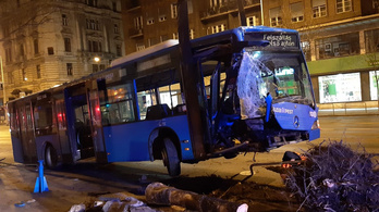 Fát döntött ki egy elszabadult busz Budapest belvárosában