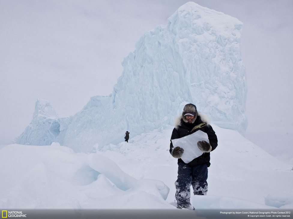 Adam Coish, Helyek kategóriában az olvasók által legjobbnak ítélt képe. Pond Inlet, Nunavut, Kanada. Jégdarabok levágása egy jéghegyről, bevett szokása az inuitoknak hogy ivóvizet szerezzenek maguknak a szárazföldre. Egy hétvégi vadászaton is tökéletes ivóvízbeszerzési forrás.
