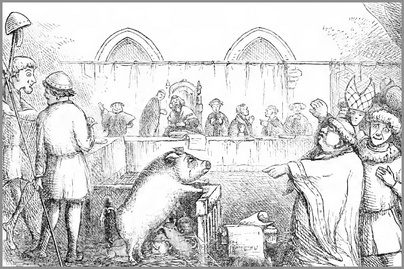 Lovakat, de még rovarokat is a bíróság elé állítottak: a középkori igazságszolgáltatás furcsaságai voltak az állatperek