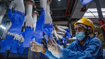 Kényszermunkával dolgoztathatnak a világ legnagyobb gumikesztyűgyárában
