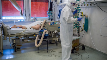 Ötpercenként meghal egy ember a koronavírus miatt Magyarországon