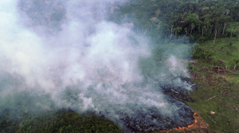 Egymilliárd dollár segélyt kér Brazília az Amazonas megmentésére