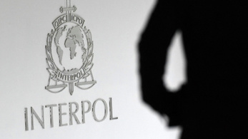 Négyezer gyanúsított őrizetben az Interpol giga-akciójában