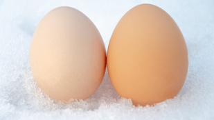 Le lehet fagyasztani a nyers tojást? És a főttet?