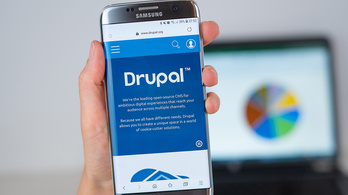 A világ hetedik legjobb Drupal-fejlesztője egy magyar cég