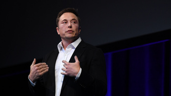 Pongot játszik Elon Musk agy-számítógép kapcsolatán a majom