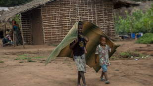 Mozambikban csaknem egymillió embert fenyeget éhínség a terrorizmus miatt