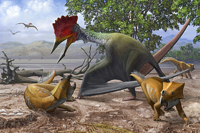 Bakonyi dinoszauruszok: milyenek voltak, és hogyan haltak ki a hazánk területén élő őslények?