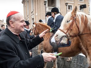 Háziállatokat áldottak a Vatikánban