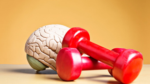 Jobb memória, szellemi frissesség: így fejleszti az agyadat a rendszeres edzés
