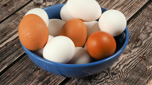 Mi a különbség a fehér és a barna tojások között?