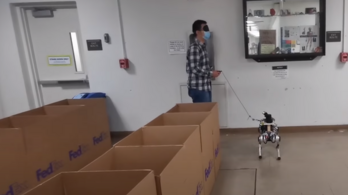 Vakvezető robotkutyát fejlesztenek