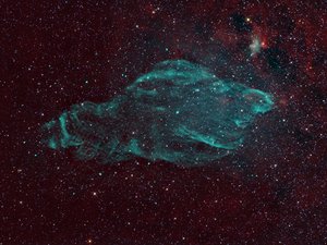 Kozmikus lamantin úszik az űrben