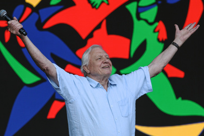 95 éves lesz David Attenborough: a természettudós, ahogyan még nem láthattuk