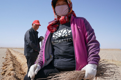 20 éve költözött a sivatagba a házaspár, eddig 70 ezer fát ültettek: nyugdíjba vonulásuk után váltottak életet