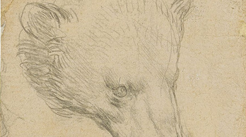 Ötmilliárd forintot ér a Da Vinci-rajz, amelyet nyáron bocsátanak árverésre