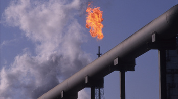 Energiaügynökség: az olajipar állítsa le a feltárási projekteket