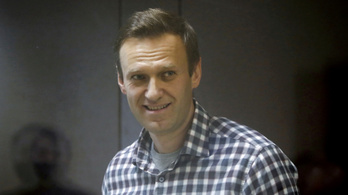Navalnij újra egészséges