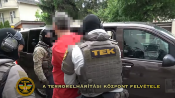 Videó: Elvitte a TEK Tasnádi Pétert, önbíráskodással gyanúsítják a volt maffiavezért