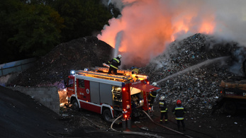 Tűz ütött ki a Mátravidéki Erőmű tőszomszédságában