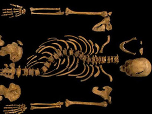 Tényleg III. Richárd csontvázát találták meg