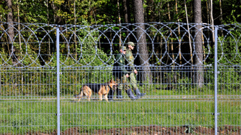 Belarusz csoportosan küldi az illegális bevándorlókat az EU határaira Litvánia szerint